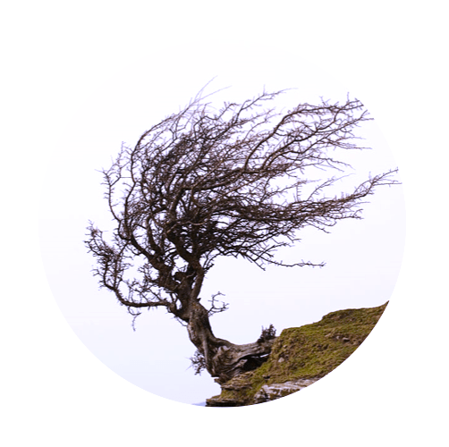 Screen Shot 2017-12-21 at 23.59.54