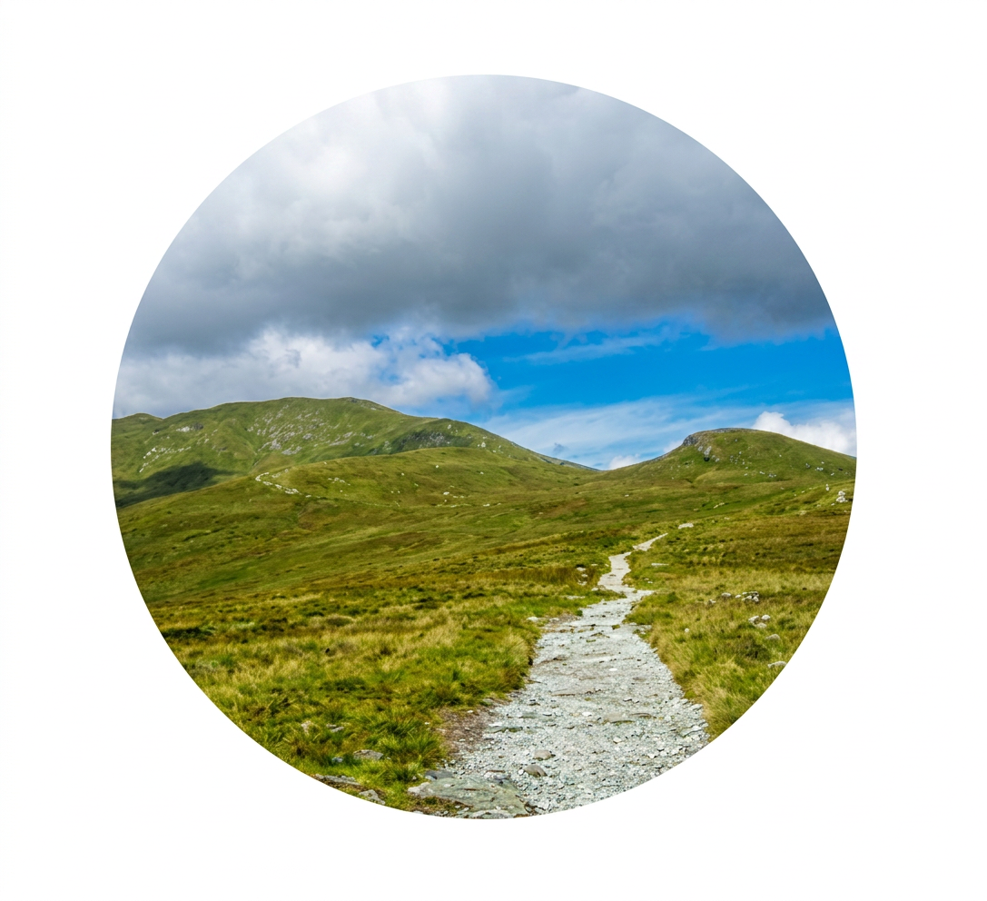 Enhance lighting, sharpness, and color naturally